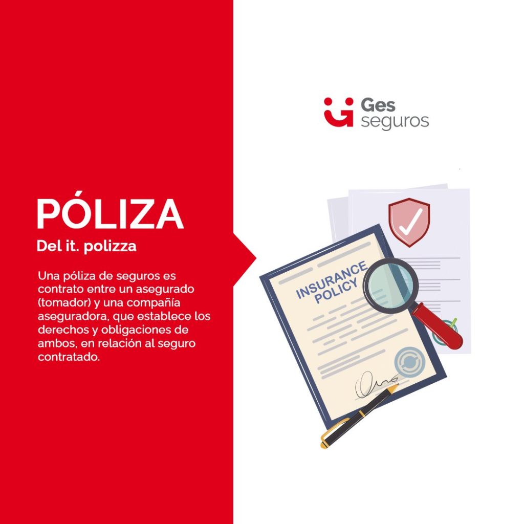 aprende la diferencia entre poliza y polizza