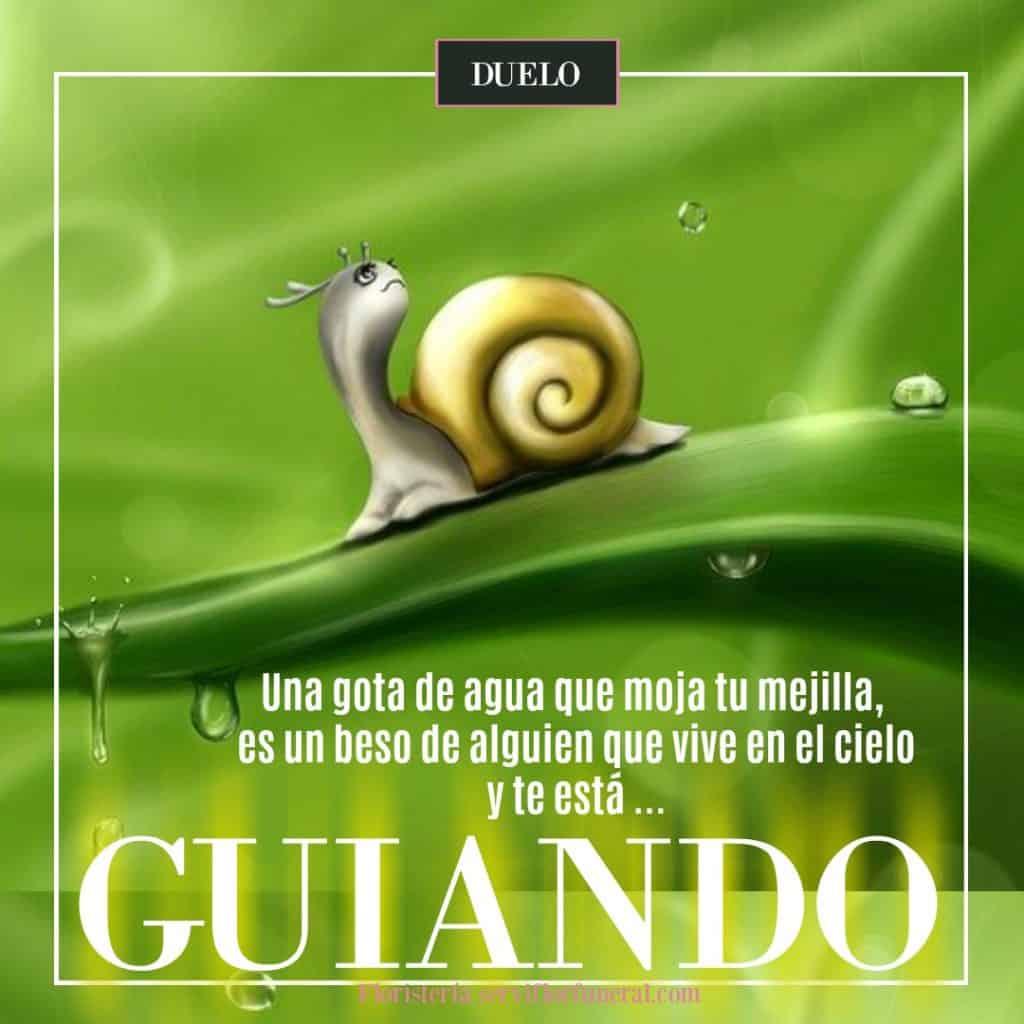 conociendo y aceptando el duelo como sobrevivir al fallecimiento de un ser querido