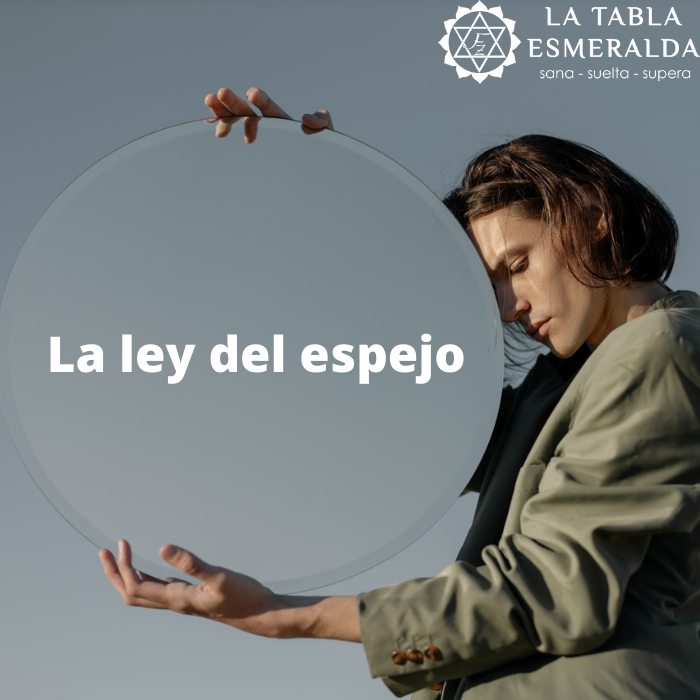 Descubre quién es el Tomador de un Seguro ¡No te quedes a la sombra! 6 descubre quien es el tomador de un seguro no te quedes a la sombra